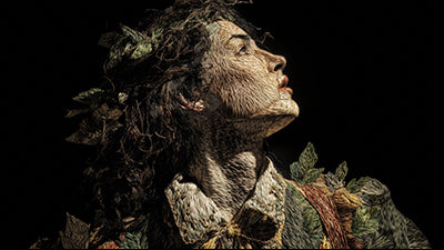 VIP COMPLETE SHAKESPEARE COLLECTION: 195 CHARACTERS ILLUSTRATED
